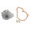 Aisin Nissan 240Sx 98-89/D21 94-90/Pu 97-95 Water Pump, Wpn059 WPN059 - alternate 4